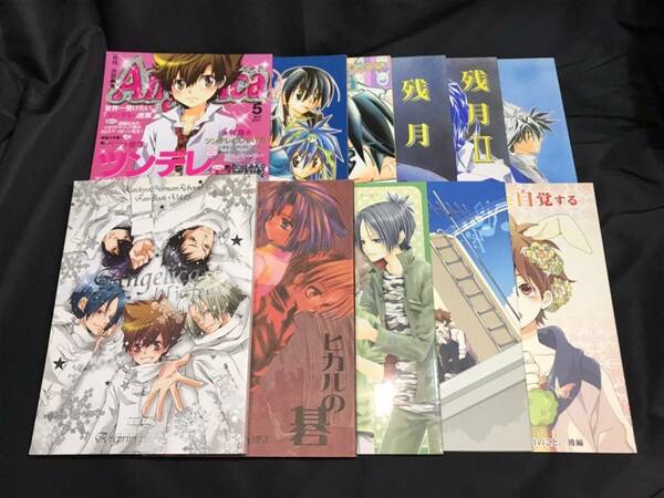 ★ 送料無料 ★ まとめ１１冊 ★ 同人誌 BL　ヒカルの碁 再録集、他。