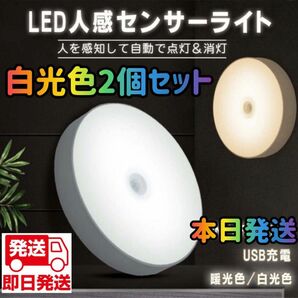 人感センサーライト　人感ライト　ライト　電球色 LED ワイヤレス 自動点灯 小型 常夜灯 USB充電式 明るさ調整 室内 廊下 