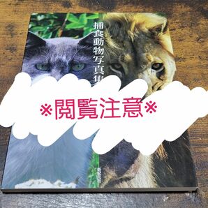 【グロ注意】捕食動物写真集 新紀元社／編集