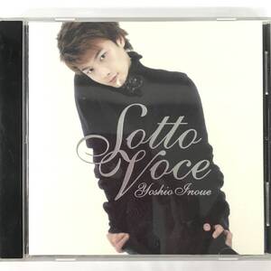 BNC12/84　CD 井上芳雄 Sotto Voce ソット・ヴォ―チェ 帯付 帯有 中古 見本盤 サンプル プロモ■