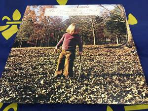 The Allman Brothers Band★中古LP国内盤「オールマン・ブラザーズ・バンド～ブラザーズ＆シスターズ」