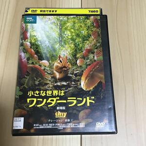 小さな世界はワンダーランド　劇場版　DVD レンタル落ち