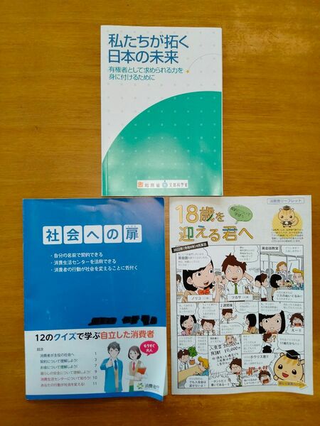 新成人教材セット　私たちが拓く日本の未来　社会への扉　18歳を迎える君へ