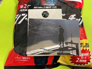 ＃75 人々の尊厳のために（No.75）シン・仮面ライダーチップス 第2弾 カルビー 2023年最新版 カード化 即決 送料80円～ 期間限定