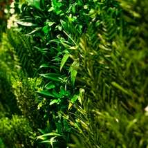 高級人工壁面緑化植物 ビスタフォリア用 追加固定部材セット パネル１枚分 造花 室内 屋外 フェイク グリーン_画像5