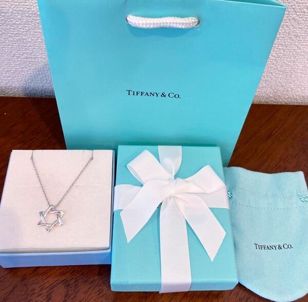 新品 正規品 ティファニーアンドコー tiffany&co. ネックレス ダビデ シルバー ケース巾着紙袋リボン 箱 スターオブダビデ ティファニー