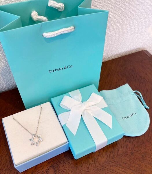 新品 正規品 ティファニーアンドコー tiffany&co. ネックレス ダビデ シルバー ケース巾着紙袋リボン 箱 スターオブダビデ ティファニー