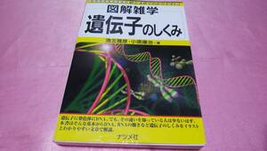 ☆絵と文章でわかりやすい!【図解雑学】☆『 遺伝子のしくみ 』≪著者：池北 雅彦、小原 康治≫/ナツメ社♪