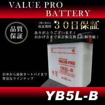 YB5L-B 開放型バッテリー ValuePro / 互換 FB5L-B TZR125 TZR250 1KT 2XT RZ250R TDR250 SRX-4 SRX-6 RZ125 XT400 XT600Z_画像2