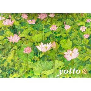  color pencil .[ cheap .~ lotus. flower ~ ]A4* amount attaching ** hand ..* original picture * lotus **yotto*