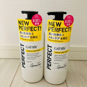 マンダム ギャツビー パーフェクトボディウォッシュ お試し容量品 220mL (2本)