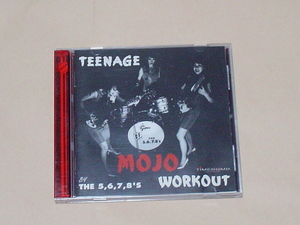 GARAGE PUNK：THE 5.6.7.8'S / TEENAGE MOJO WORKOUT(ギターウルフ,MAD3,JACKIE & THE CEDRICS,TEENGENERATE）