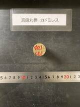 真鍮丸棒　カドミレス　Φ21×61mm 【１個の価格になります】外径素材肌　金属材料 BSBM　端材 残材 ハンドメイド　旋盤加工 切削　旋削_画像1