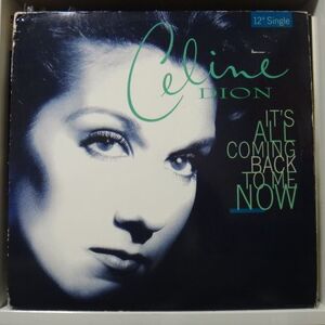 CELINE DION/IT'S ALL COMING BACK TO ME NOW ジャケット不良