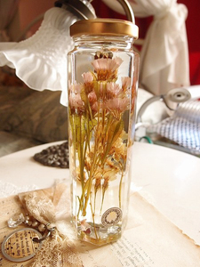 *BALLON Herbarium herbarium underwater specimen Bottle Aqua bottle aqua glass dry flower 