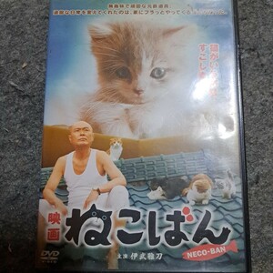 映画　ねこばん　レンタル版DVD 伊武雅刀　猫