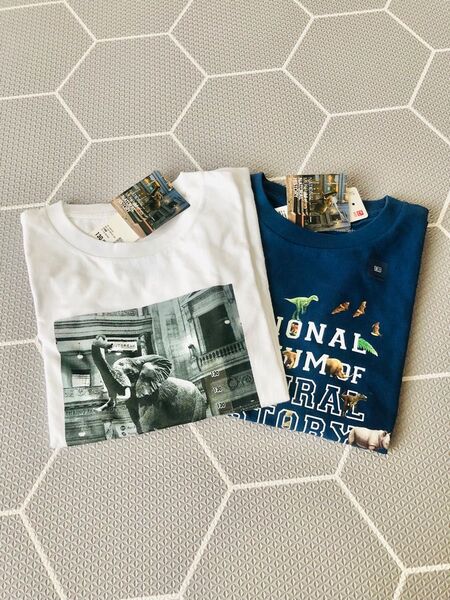 130サイズ 新品 国立科学博物館 ユニクロ tシャツ
