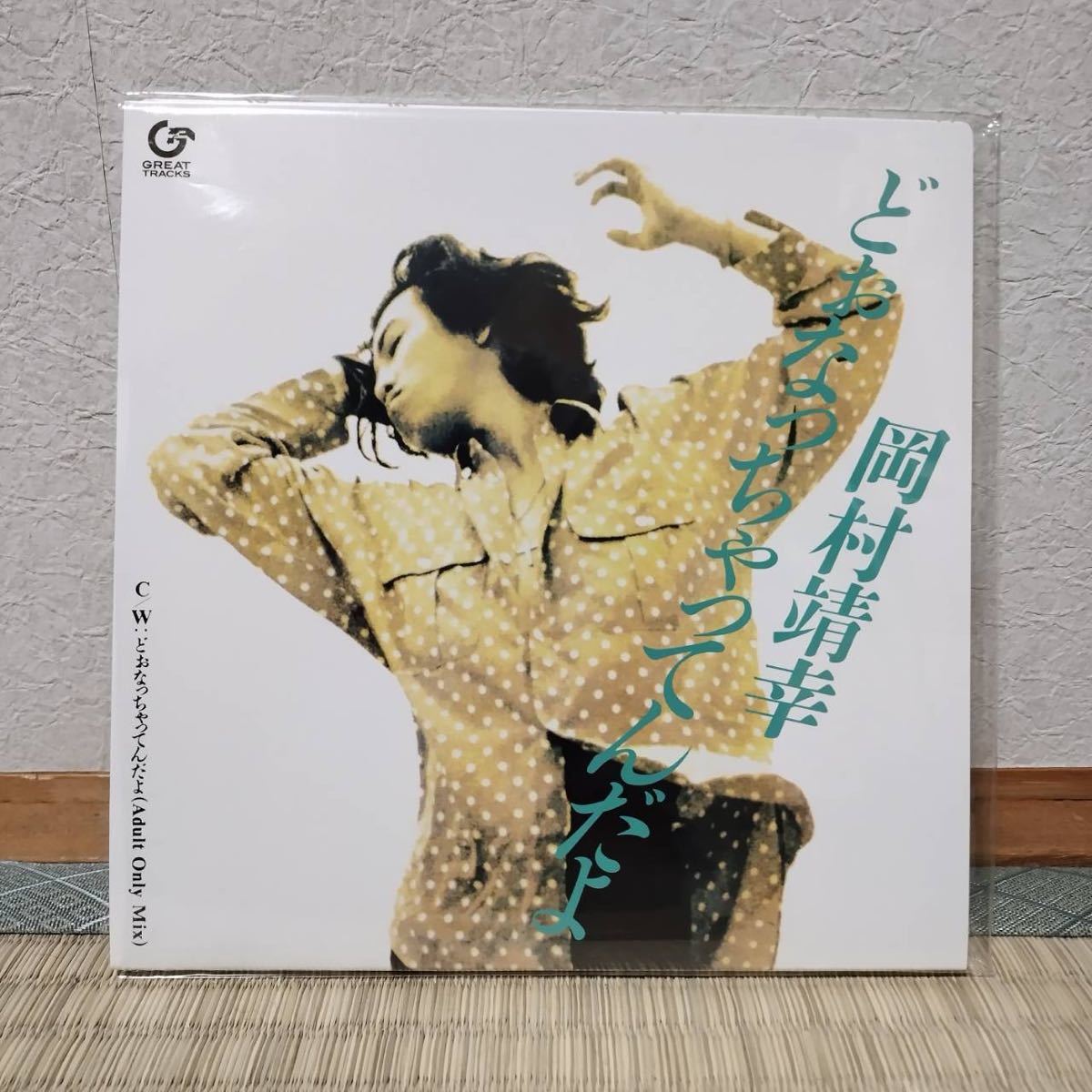 2023年最新】ヤフオク! -岡村靖幸 レコード(お)の中古品・新品・未使用