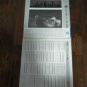 レア LP レコード Gem ダニエルリカーリ 完全限定盤 DANIELLE LICARIの画像2