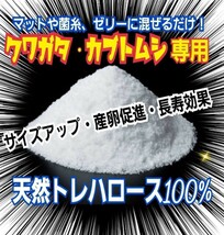 クワガタ・カブトムシ専用栄養添加剤　トレハロース粉末　マットや菌糸・ゼリーに混ぜるだけ！サイズアップ、産卵促進、長寿効果抜群です！_画像2