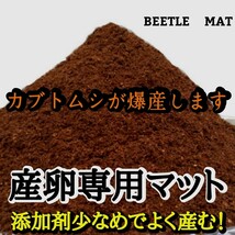 カブトムシの産卵専用　特選ビートルマット　オガを植菌で朽ちらせ室内で完熟発酵！　添加剤少なめで産卵意欲が高まり多産へと導きます_画像1