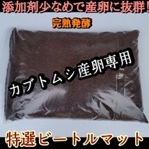 カブトムシの産卵専用　特選ビートルマット　オガを植菌で朽ちらせ室内で完熟発酵！　添加剤少なめで産卵意欲が高まり多産へと導きます_画像3