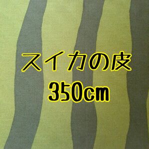 スイカの皮　すいか　西瓜　ハンドメイド　生地　はぎれ