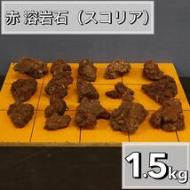 レッドスコリア　1.5kg アクアリウム　水槽レイアウト　アロマ　パルダリウム　コケリウム 飾り石 石材 目留め ストーン龍王 清 ADA 天然 _画像1