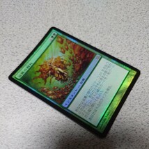 MTG BOK 滋養の群れ 日本語foil 一枚 即決_画像2