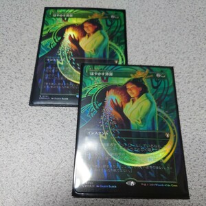 MTG CMM ぼやかす薄霧 日本語foil 二枚セット ボーダーレス 統率者マスターズ 即決