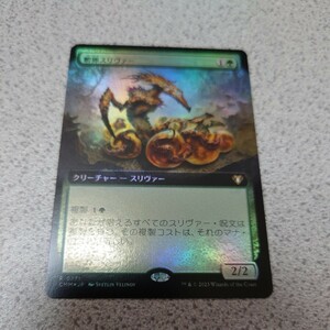 MTG CMM 孵卵スリヴァー 日本語foil 一枚 拡張アート 統率者マスターズ 即決