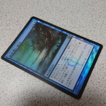 MTG SOM 容赦無い潮流 日本語foil 一枚 即決_画像2