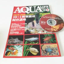 月刊アクアライフ 2008年1月号 10＋1種類徹底飼育口座 野生のカージナルテトラを追うネグロ川の旅 DVD付き コルレア クレニキクラ 毛フグ_画像1