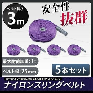 【送料無料】1t 3m ナイロンスリングベルト3ｍ×1000kg×25mm ★荷揚げ 吊り上げ 吊り下げ 玉掛け運搬に!◆5本セット◆