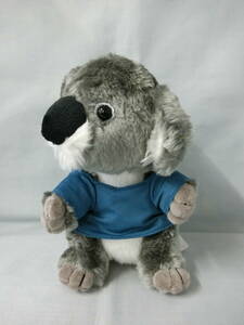  koala soft toy unused . close rare? Koala Sleep Japan corporation T-shirt sack attaching height 22.5 centimeter 