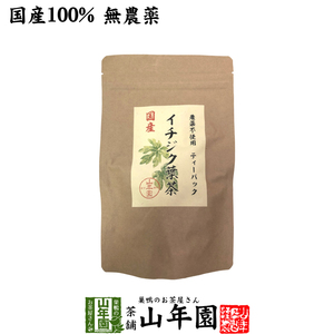 健康茶 国産100% 無農薬 栃木県産 イチジク葉茶 1.5g×15パック ティーパック ティーバッグ いちじく無花果