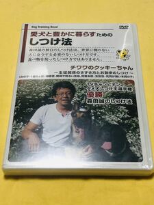 ★「チワワのしつけDVD」★森田誠、犬のしつけ★お散歩のしつけ