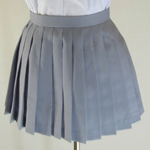 C9*[ new goods ]* school pleated skirt * gray 30cm height 