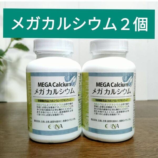 エリナ　メガ カルシウム　栄養機能食品(カルシウム　マグネシウム)　2個