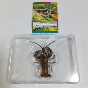 ニホンザリガニ 海洋堂 週刊日本の天然記念物 フィギュア 検 非売品 松村しのぶ チョコエッグ チョコQ 日本の動物 日本ザリガニ