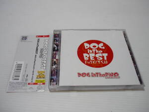 [管00]【送料無料】CD DOG inTheパラレルワールドオーケストラ / DOG inTheBEST 邦楽 春 準々 ミズキ メイ 緩菜