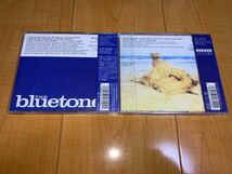 【即決送料込み】ブルートーンズ / The Bluetones 2枚セット / A Bluetones Companion / Cut Some Rug 国内盤帯付きCD_画像2