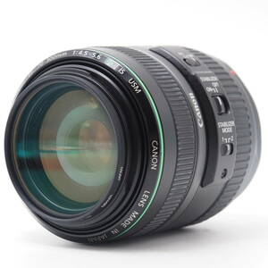 101173☆極上品☆Canon 望遠ズームレンズ EF70-300mm F4.5-5.6 DO IS USM フルサイズ対応