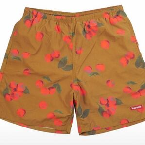 19ss Supreme Cherry Nylon Water Short 水着　シュプリーム　ショートパンツ