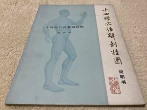 十四経穴位解剖掛図 説明書 日本語版 上海人民出版社