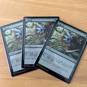 MTG 三顧の礼　非foil ３枚　②