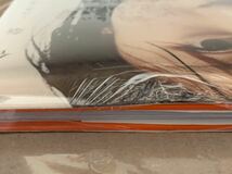 小野恵令奈 写真集 / 恵令奈～14歳の夏～ / 【未開封 メイキングDVD付】 / AKB48 アイドル_画像3