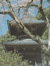 ☆◎ 吉野山 【如意輪寺】◎ 【多宝塔】◇絵葉書◇奈良県◇_画像3