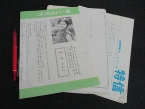 1953年　TBSテレビこおろぎ橋ヒロイン　樋口可南子プロフィール　他　L334