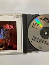 【ロック/アートロック/】デヴィッド・ボウイ（DEVID BOWIE）「NEVER LET ME DOWN」(レア)中古CD、USオリジナル初盤、RO-138　_画像3